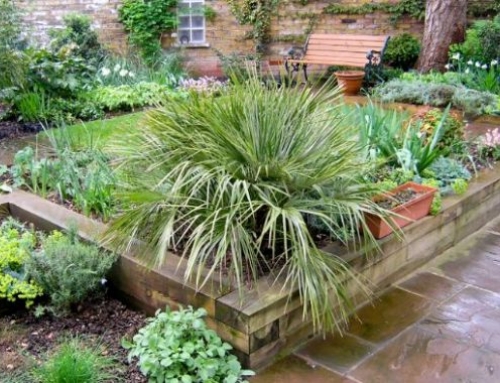 Secluded Garden Oasis in Hackney